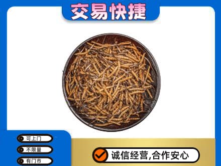 昭通市鲁甸高价回收散虫草