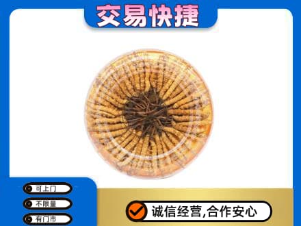 昭通市鲁甸回收虫草礼盒